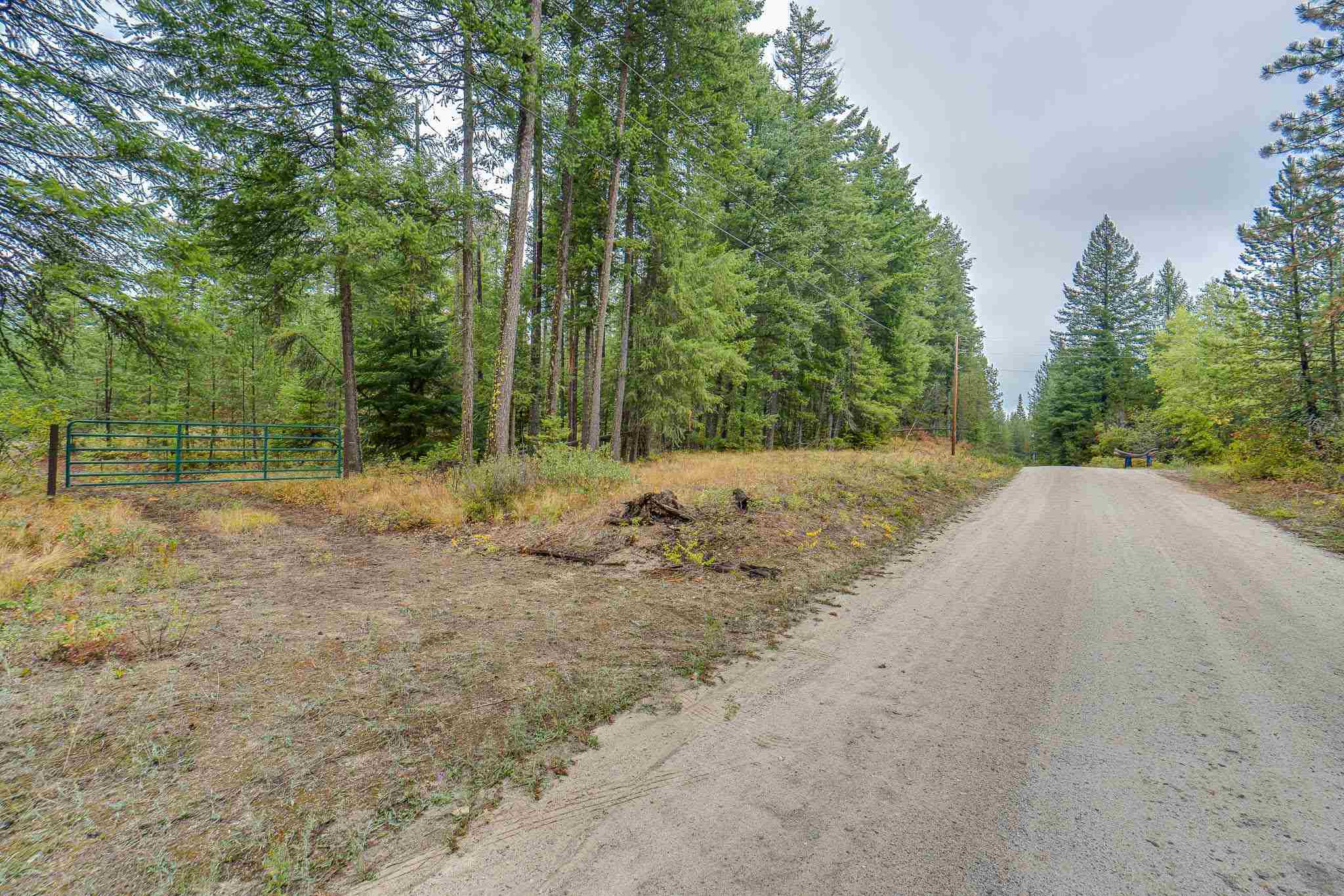 661 Balcom Road Newport, WA 99156 - Photo 8 of 28