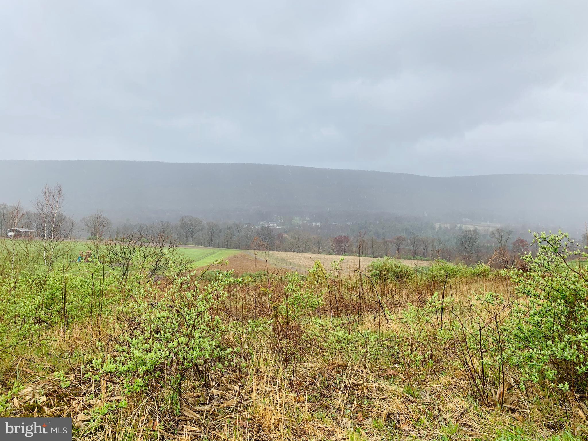 0 Tielman Road Ashland, PA 17921 - Photo 2 of 6 Mountain, farms, and valleys