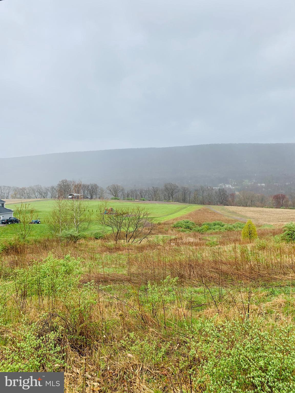 0 Tielman Road Ashland, PA 17921 - Photo 4 of 6 Land is bountiful with deer, turkey & other game.