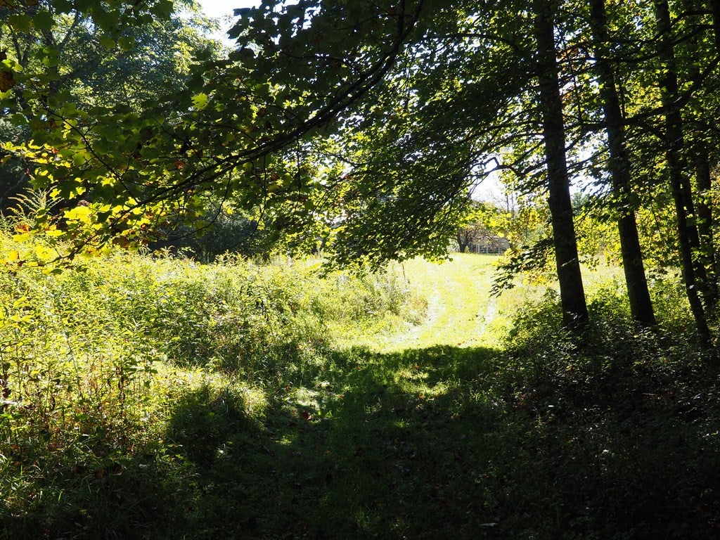 523 State Shed Road, Unit 102 Meadows Of Dan, VA 24120 - Photo 9 of 15 Gallery Image 9