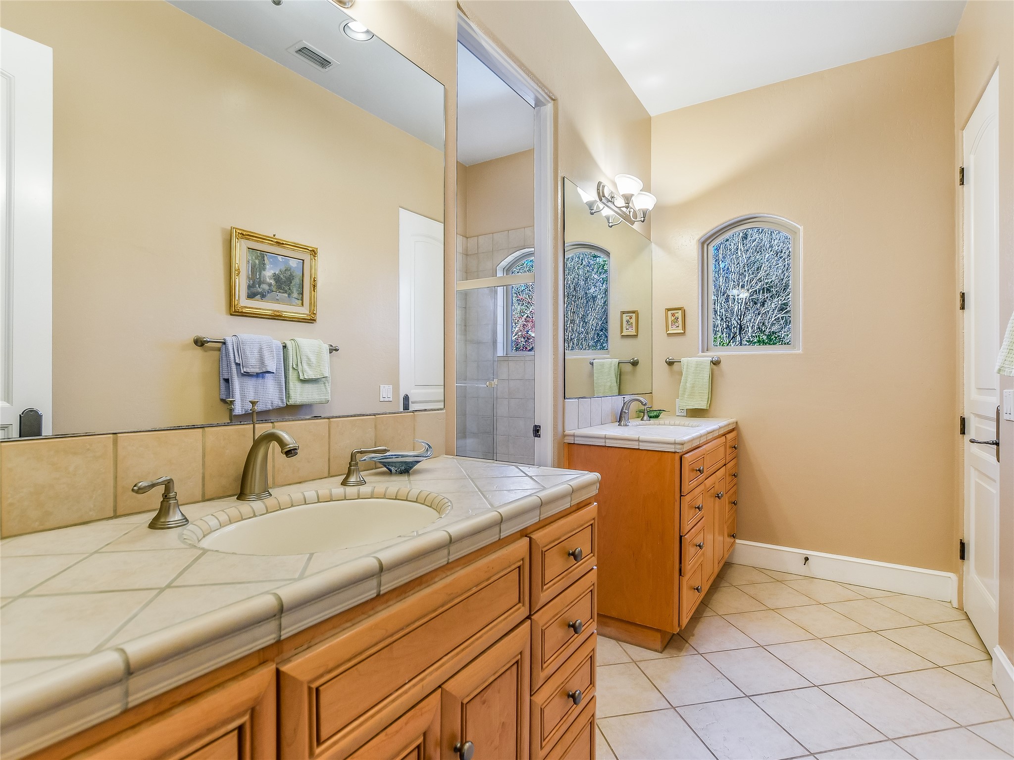 25909 Hamilton Pool Road Round Mountain, TX 78663 - Photo 13 of 34 a bathroom with a granite countertop sink mirror and a