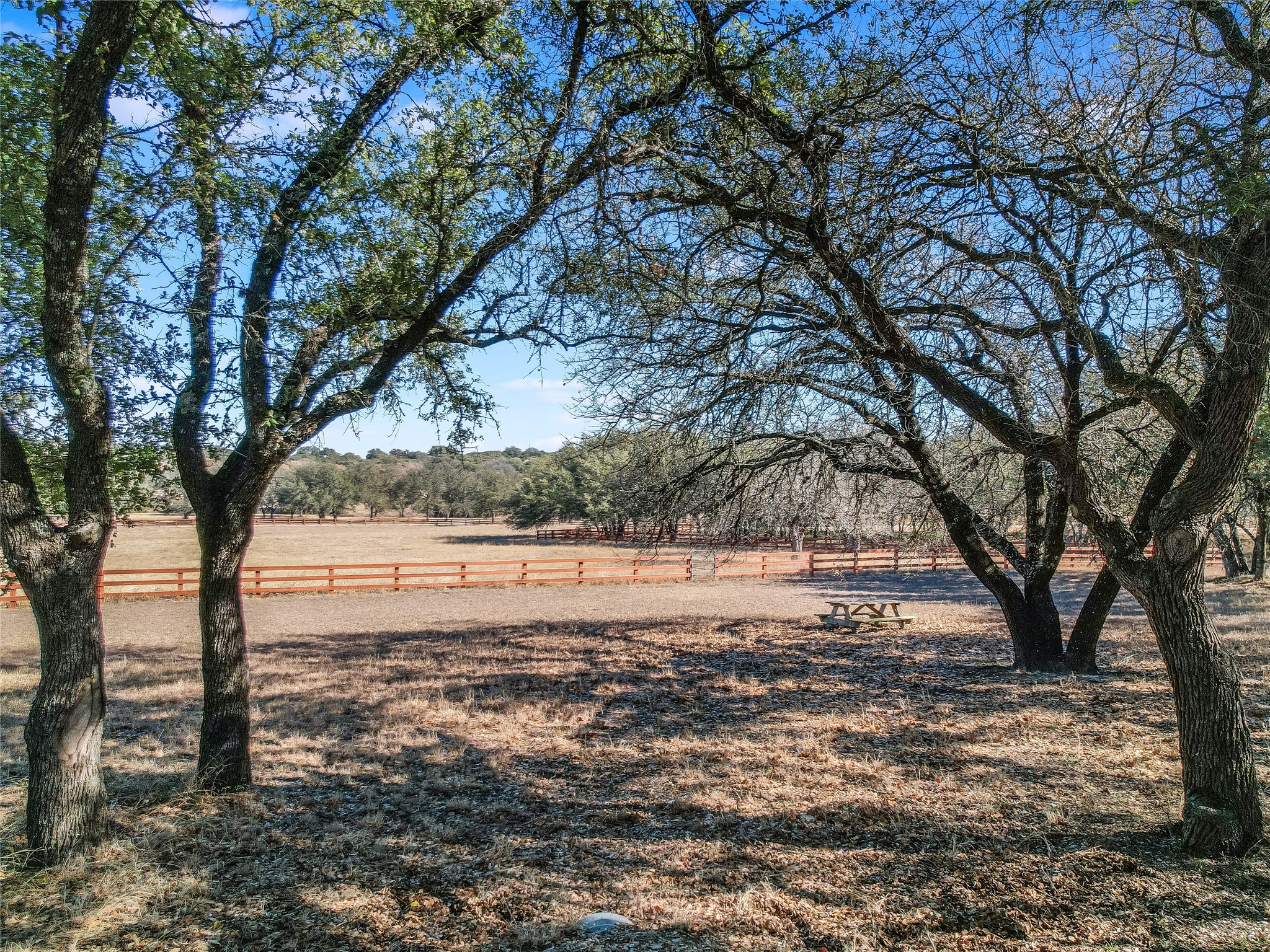 25909 Hamilton Pool Road Round Mountain, TX 78663 - Photo 28 of 34 a view of an outdoor space with trees