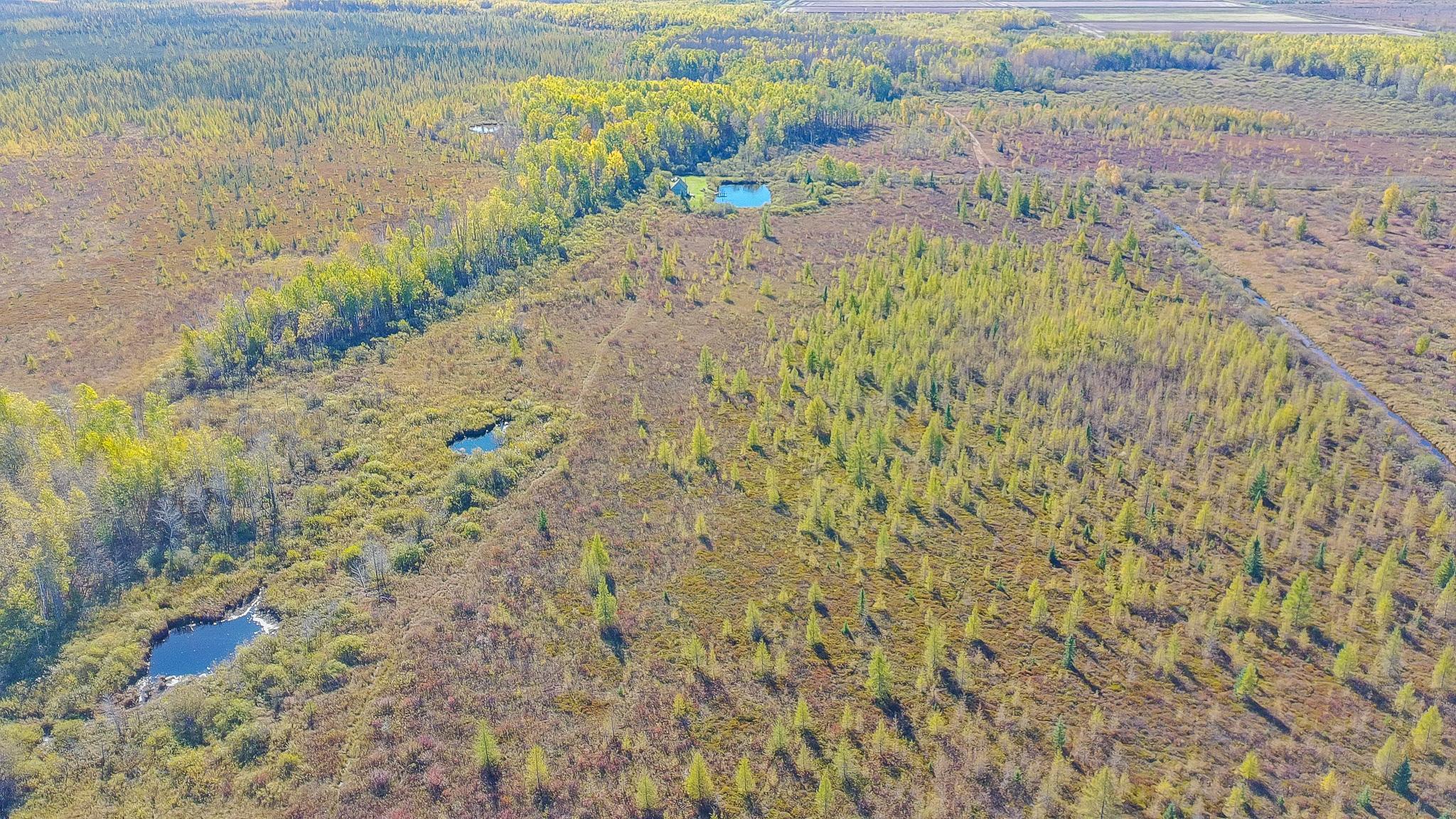 28532 460th Lane Palisade, MN 56469 - Photo 14 of 17