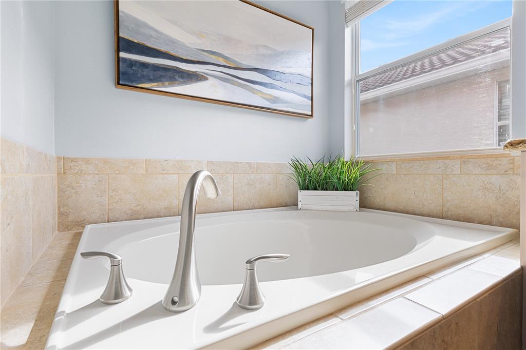 9006 Majesty Palm Road Kissimmee, FL 34747 - Photo 40 of 56 a close view of sink