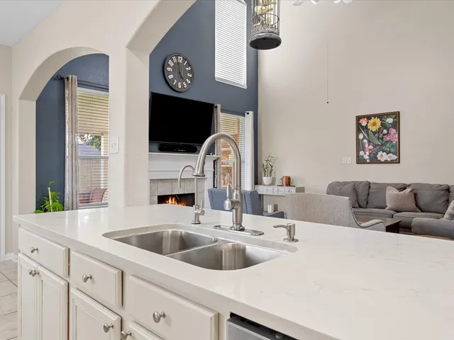 a kitchen with a sink and a potted plant