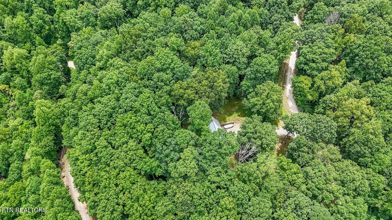 701 Cherokee Ridge Road Pikeville, TN 37367 - Photo 51 of 60 56701