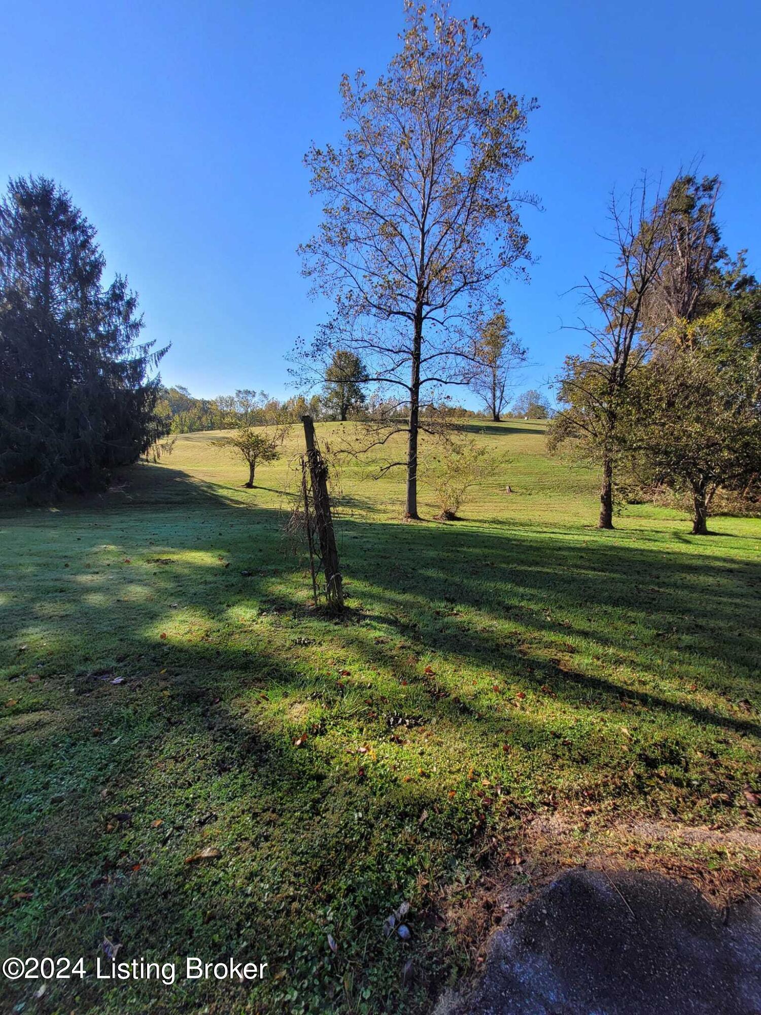 1806 Easterday Road Carrollton, KY 41008 - Photo 3 of 18 1806 backyard