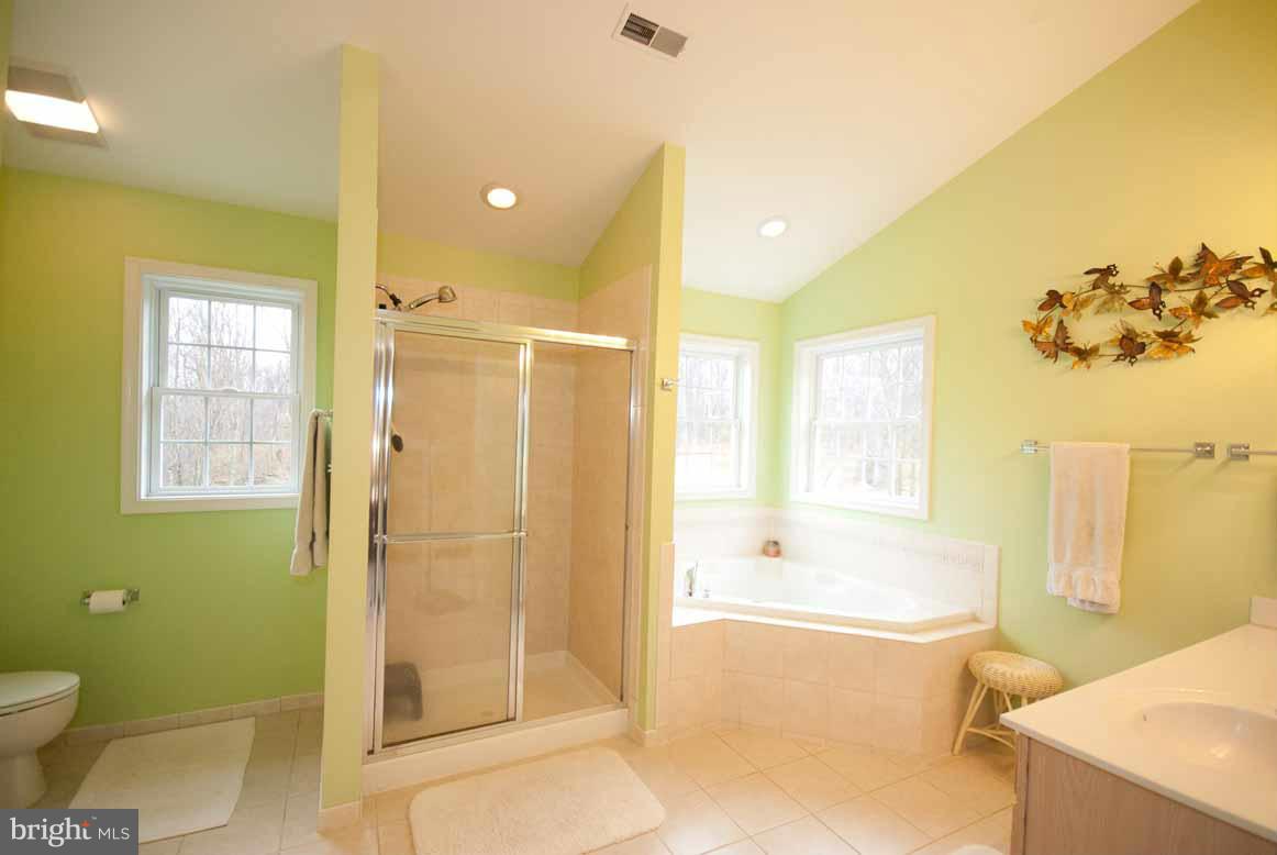 23262 Dover Road Middleburg, VA 20117 - Photo 18 of 30 Your very large bath