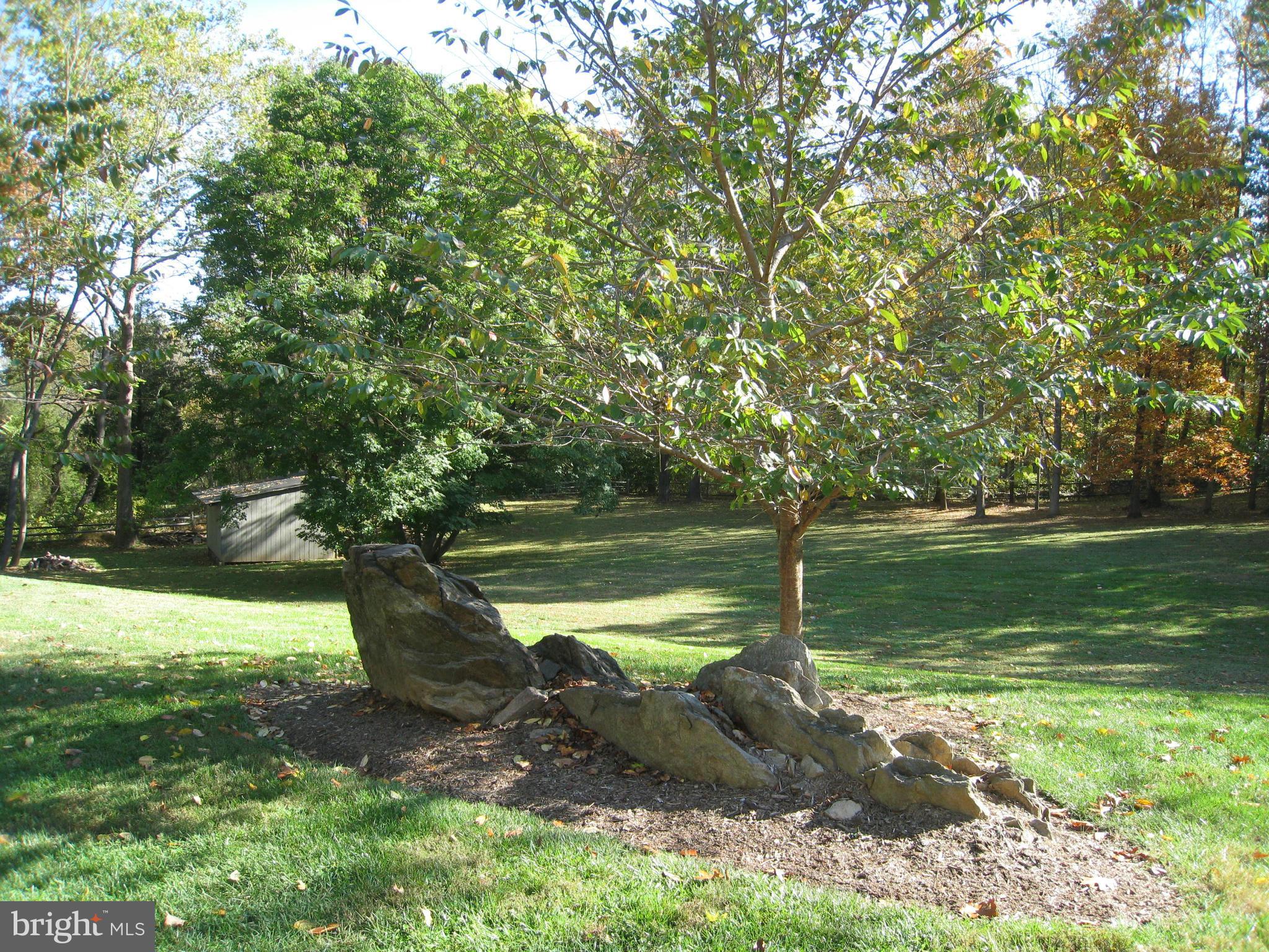 23262 Dover Road Middleburg, VA 20117 - Photo 27 of 30 Flowering cherry trees behind dramatic rocks
