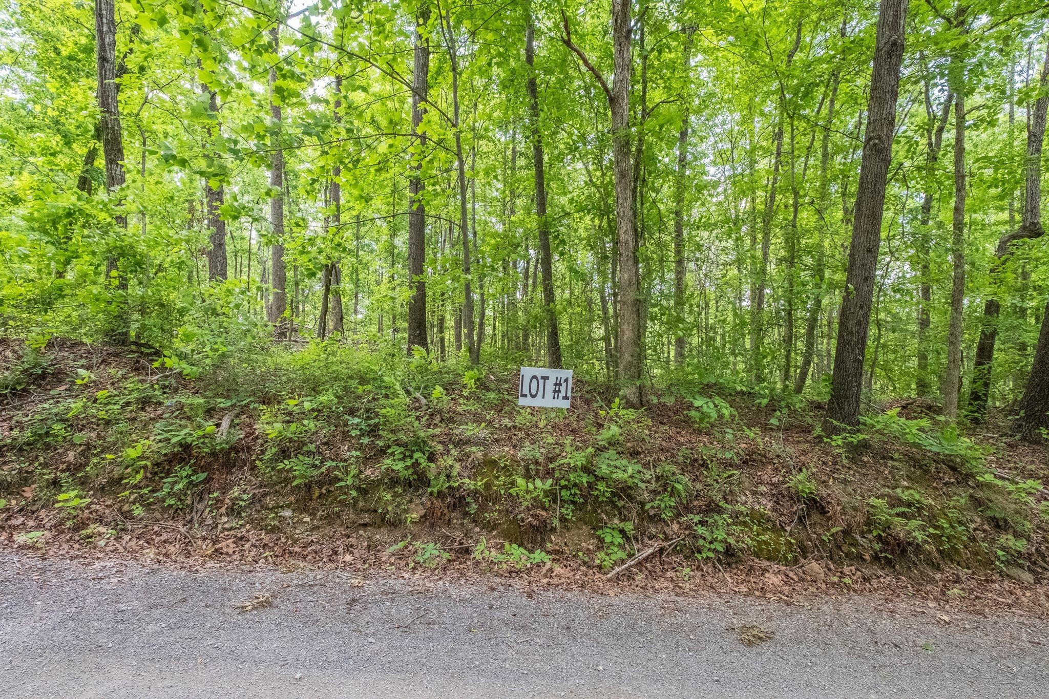 8489 Hoskins Hollow Road Westmoreland, TN 37186 - Photo 11 of 36
