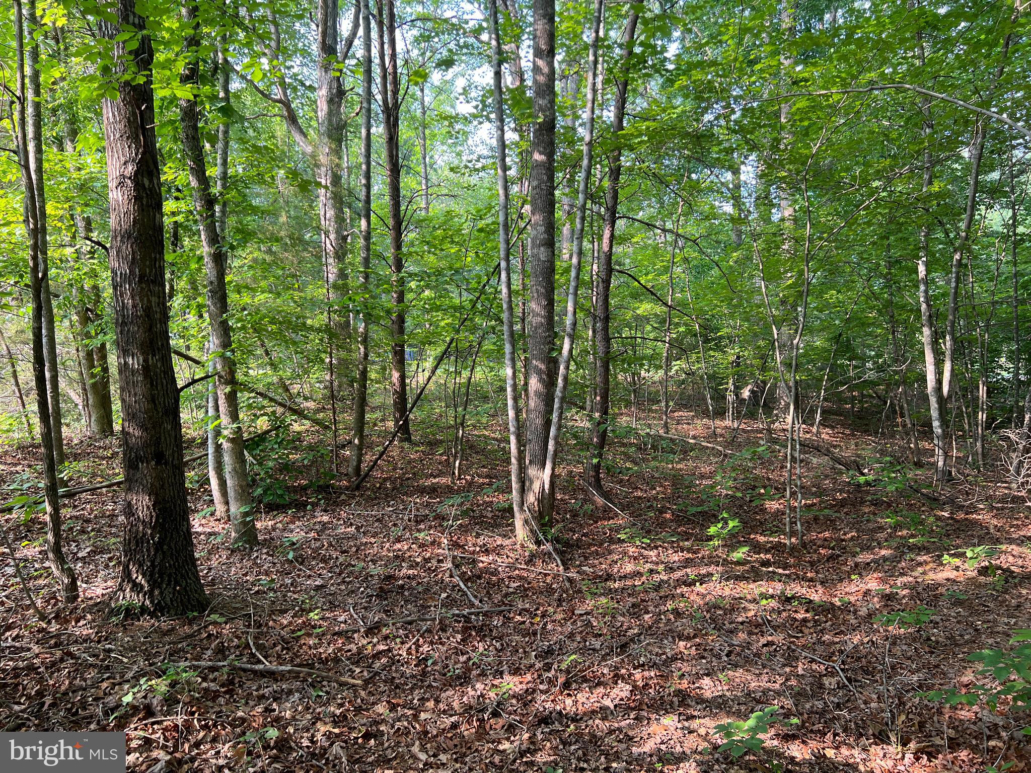 28554 Raccoon Ford Road Burr Hill, VA 22433 - Photo 24 of 35 Gallery Image 24