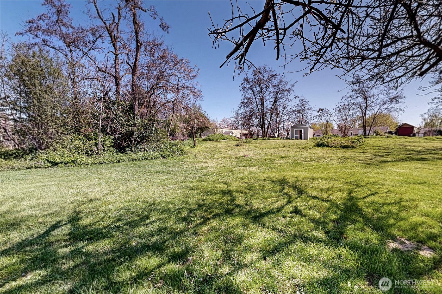 457 Prospect Avenue Walla Walla, WA 99362 - Photo 37 of 40 a yard with trees in the background