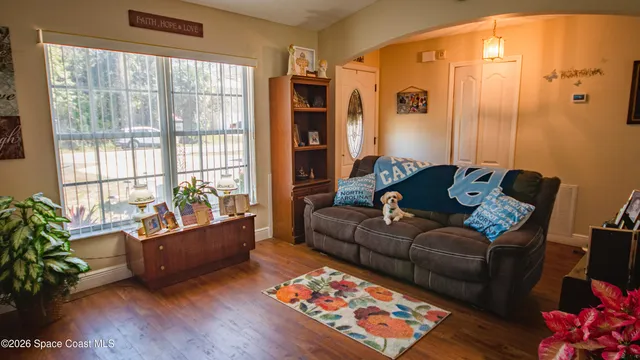 a living room with furniture and a potted plant