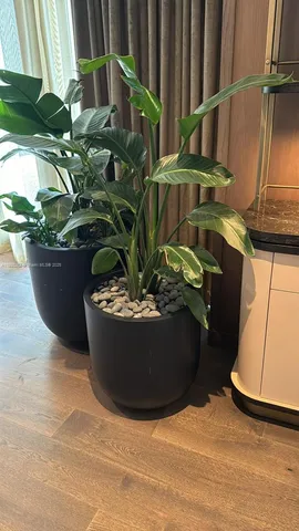 $2,800 | 159 Northeast 6th Street, Unit 2512, Miami, FL 33132