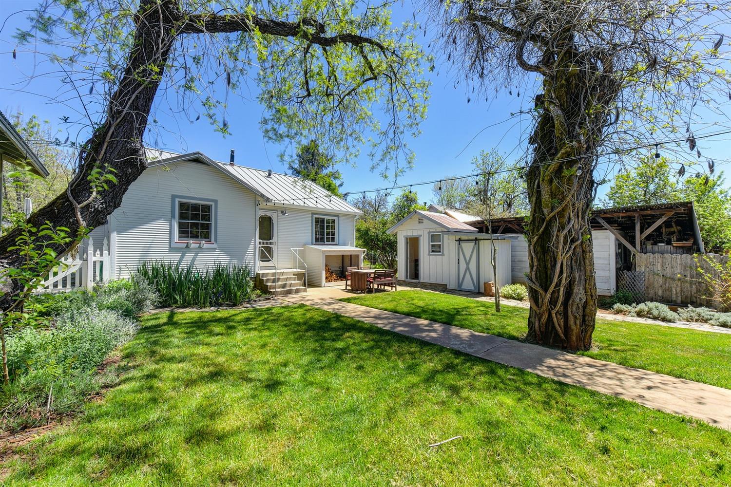 16245 Plug Street Volcano, CA 95689 - Photo 22 of 50