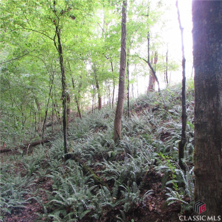 Lot 1 Coldwater Road Dewy Rose, GA 30634 - Photo 7 of 21