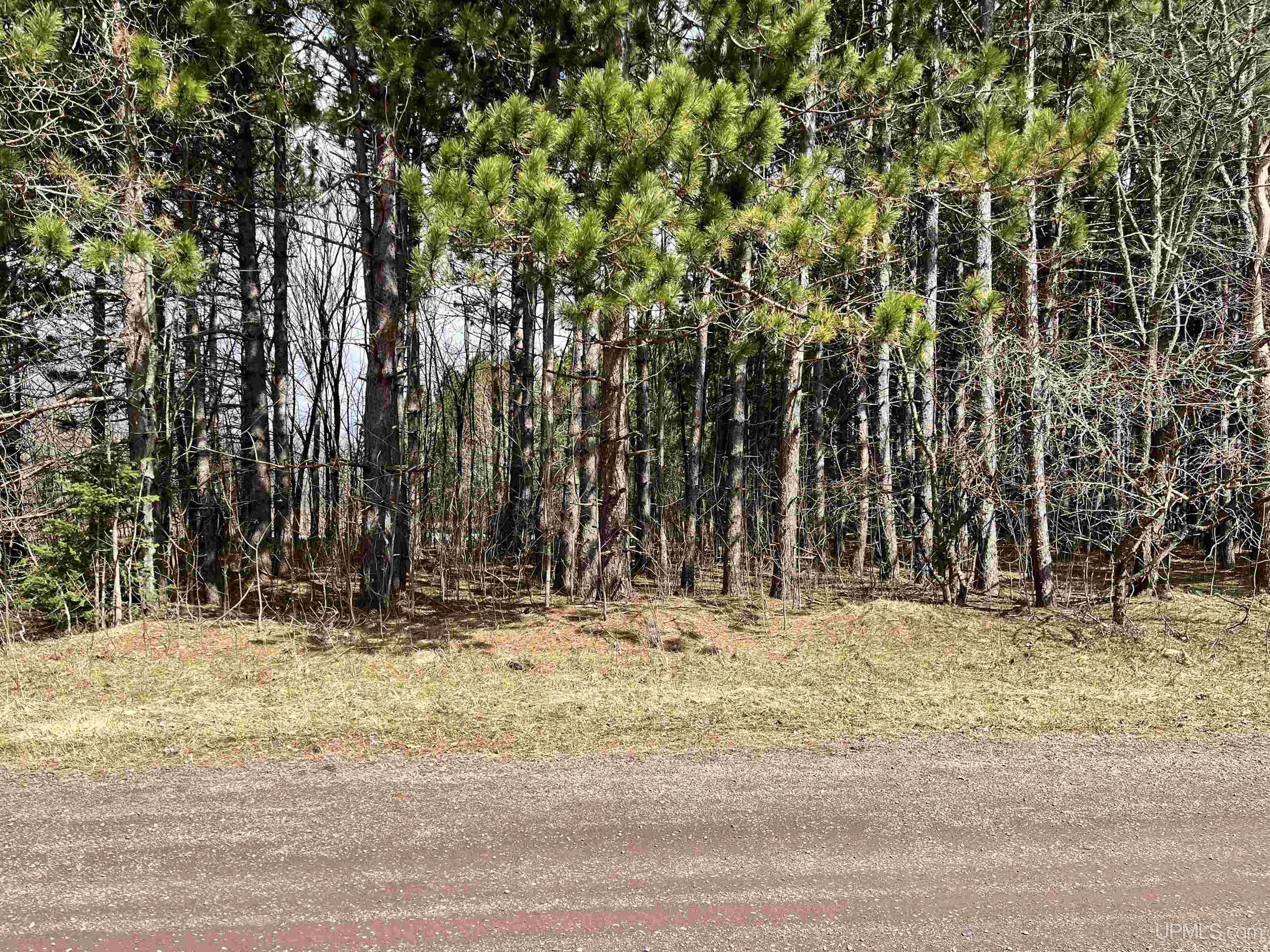 Tbd Tikka Road Ontonagon, MI 49953 - Photo 2 of 9