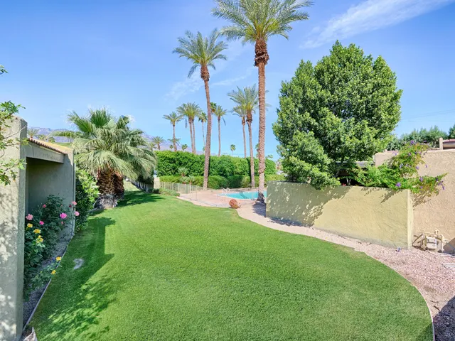 a view of a backyard with couches and palm trees