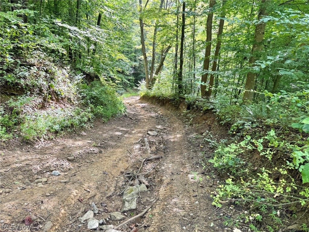 2 Nicut Run Road Rosedale, WV 26636 - Photo 22 of 24 Gallery Image 22