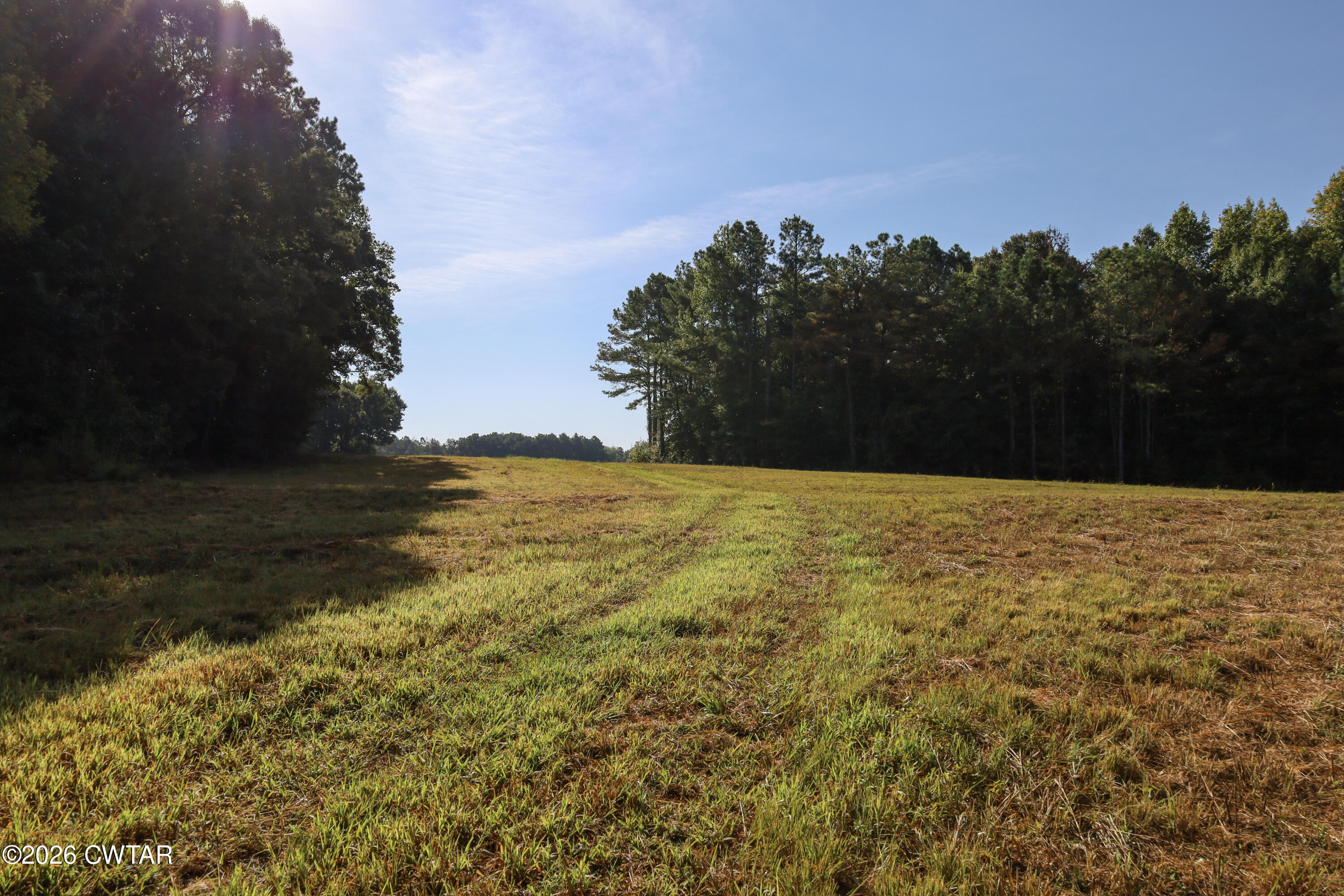 0 Betty Manley Road Jackson, TN 38301 - Photo 14 of 46 3-IMG_4904