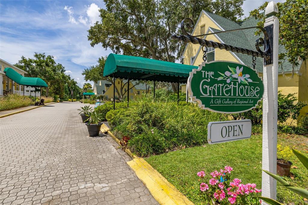 367 August Fern Loop Mount Dora, FL 32757 - Photo 65 of 90