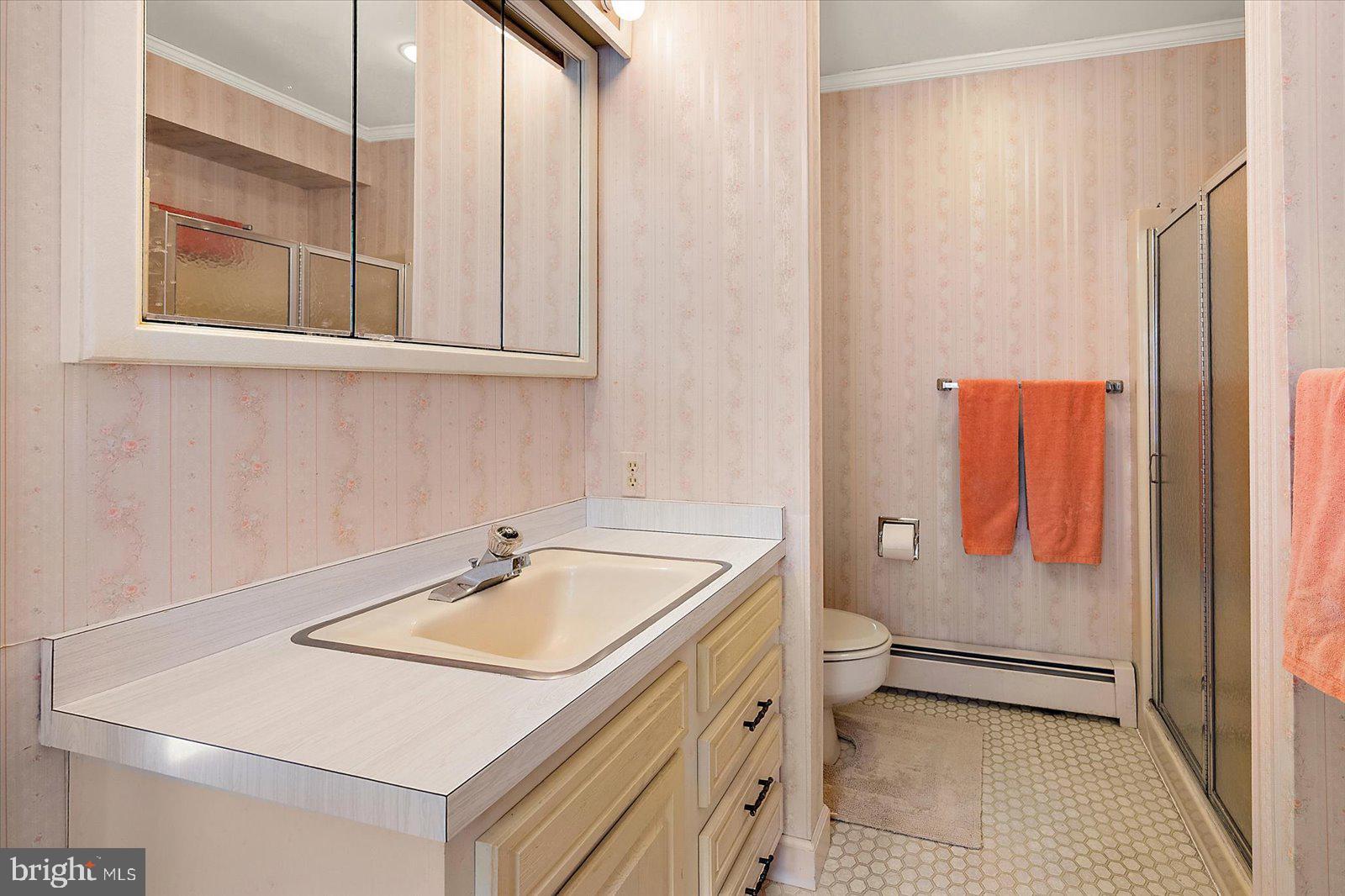 701 Riverside Pines Court Salisbury, MD 21801 - Photo 51 of 81 a bathroom with a sink a toilet and shower