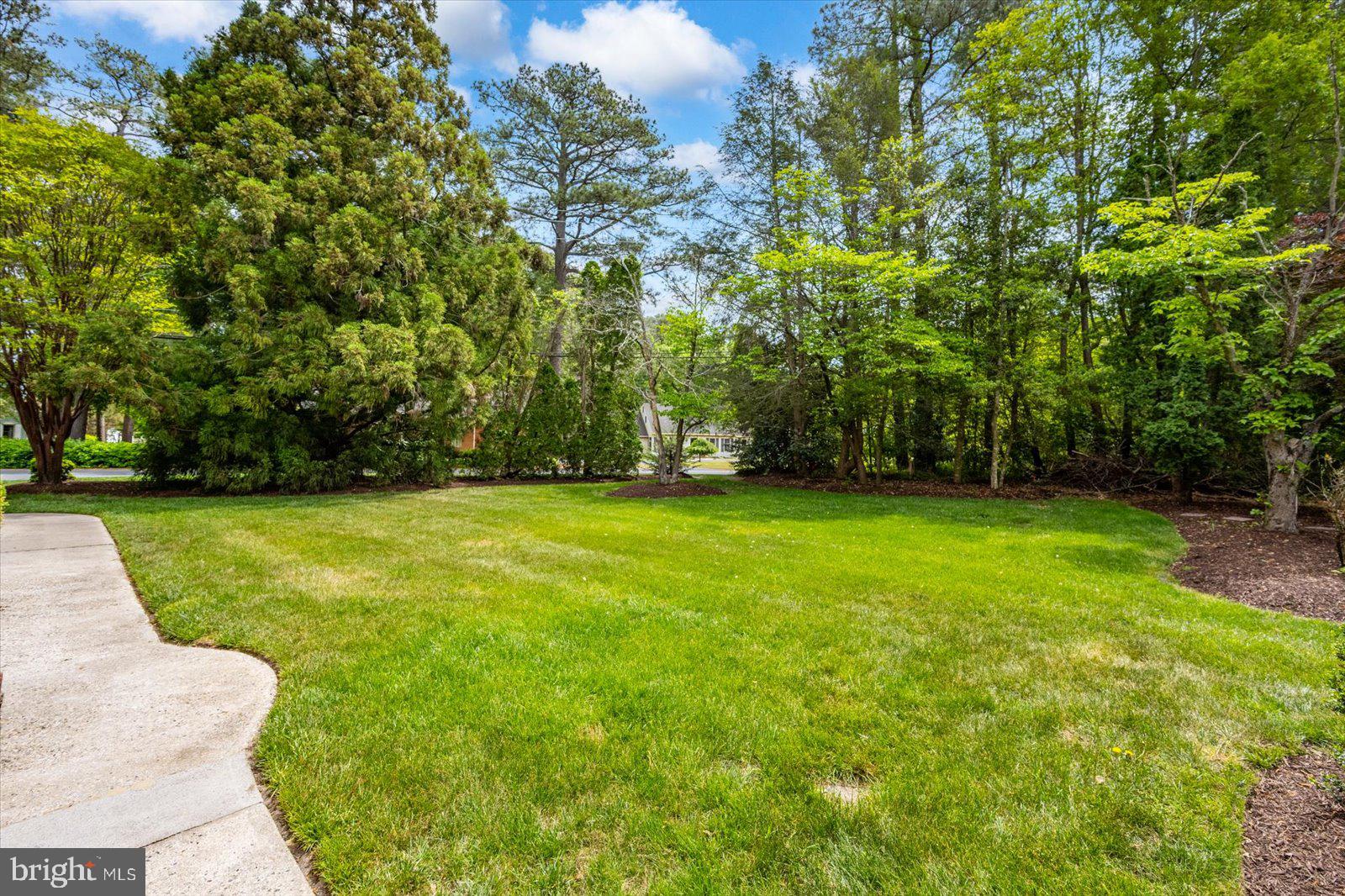 701 Riverside Pines Court Salisbury, MD 21801 - Photo 71 of 81 a view of yard with green space