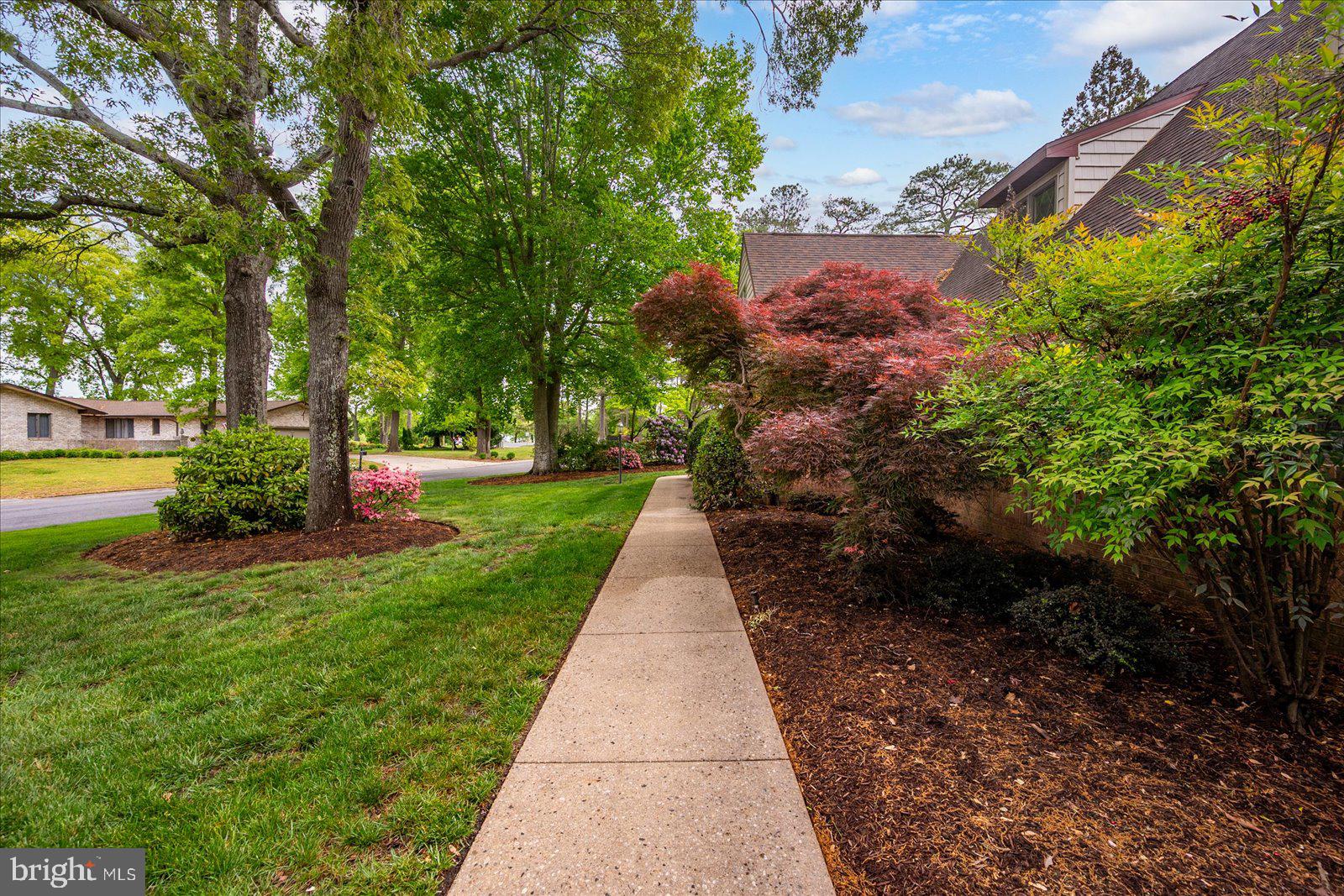 701 Riverside Pines Court Salisbury, MD 21801 - Photo 74 of 81 a view of park with large trees