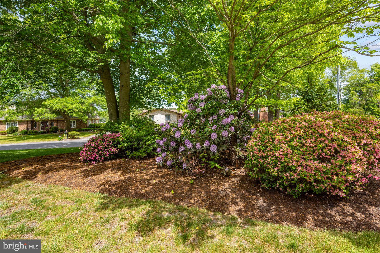 701 Riverside Pines Court Salisbury, MD 21801 - Photo 81 of 81 a view of a garden with plants and trees