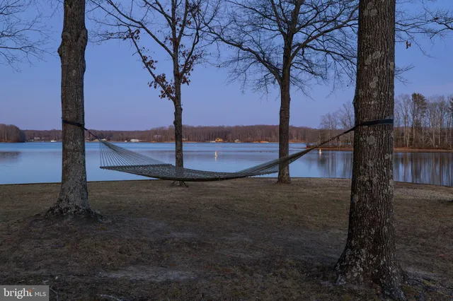 $1,989,000 | 890 Tall Pines Drive, Mineral, VA 23117