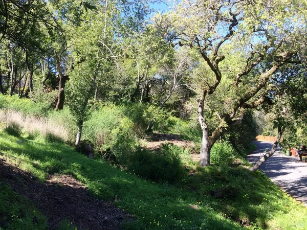 $145,000 | 317 Coleman Drive, San Rafael, CA 94901