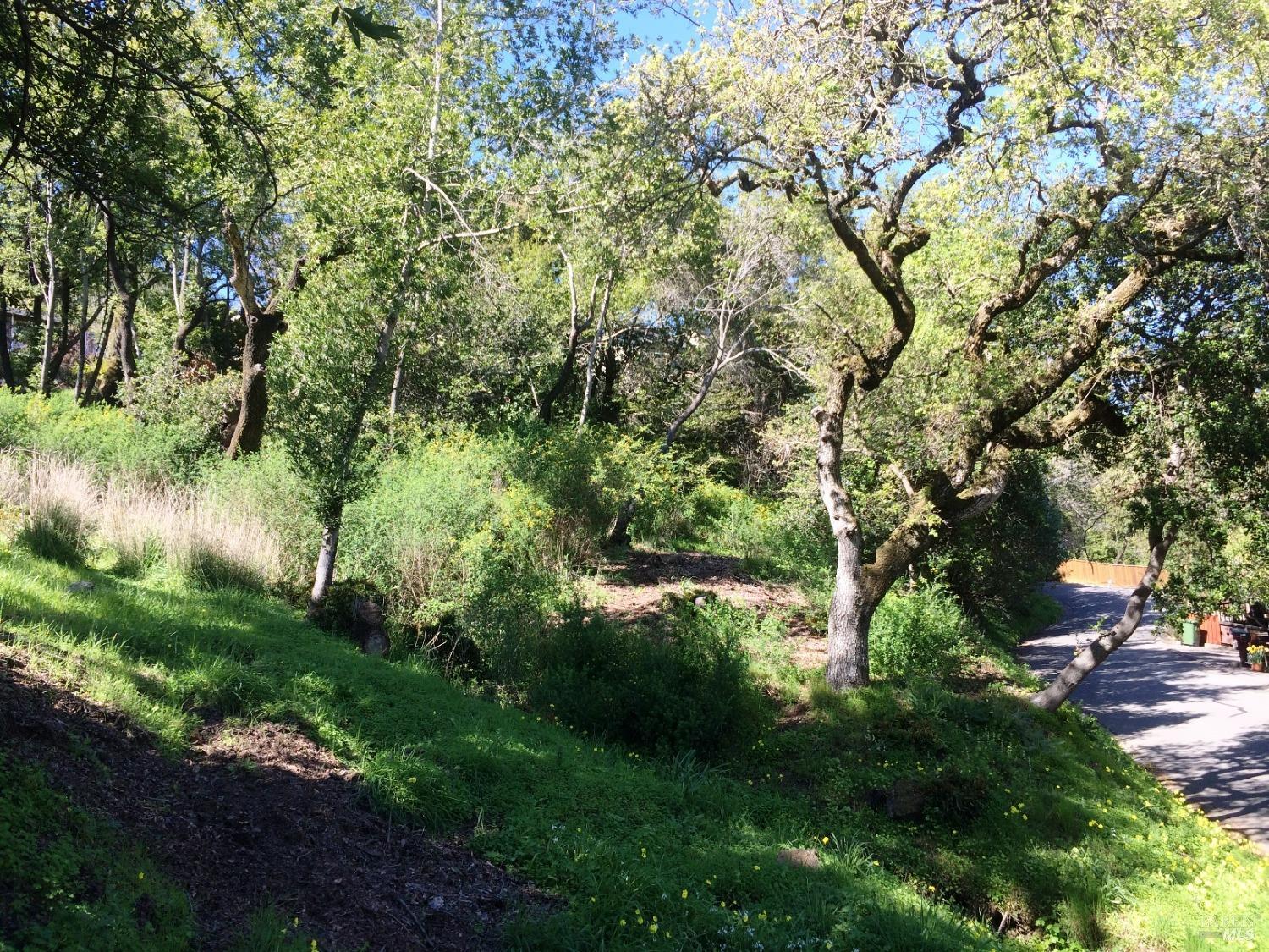 317 Coleman Drive San Rafael, CA 94901 - Photo 11 of 11