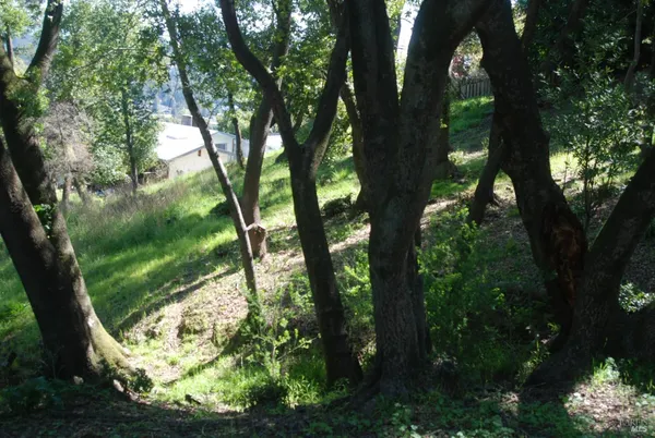 a backyard of a house with lots of green space