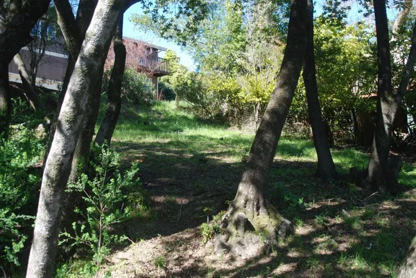 a view of a house with a yard and potted plants