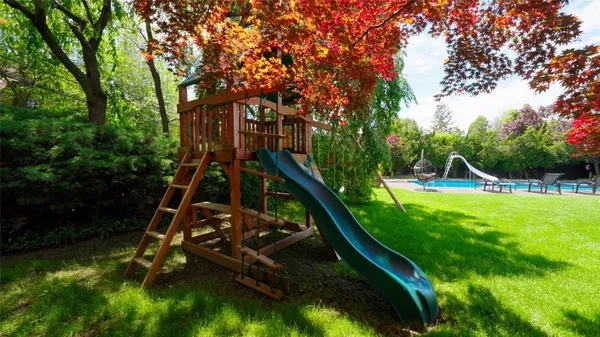 a view of a park with large trees