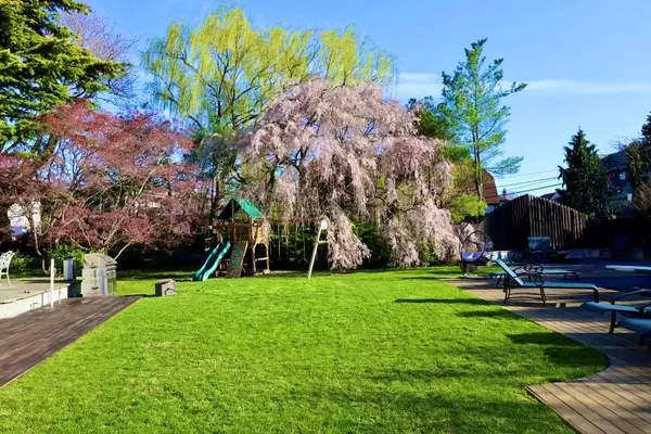 a view of a park with large trees