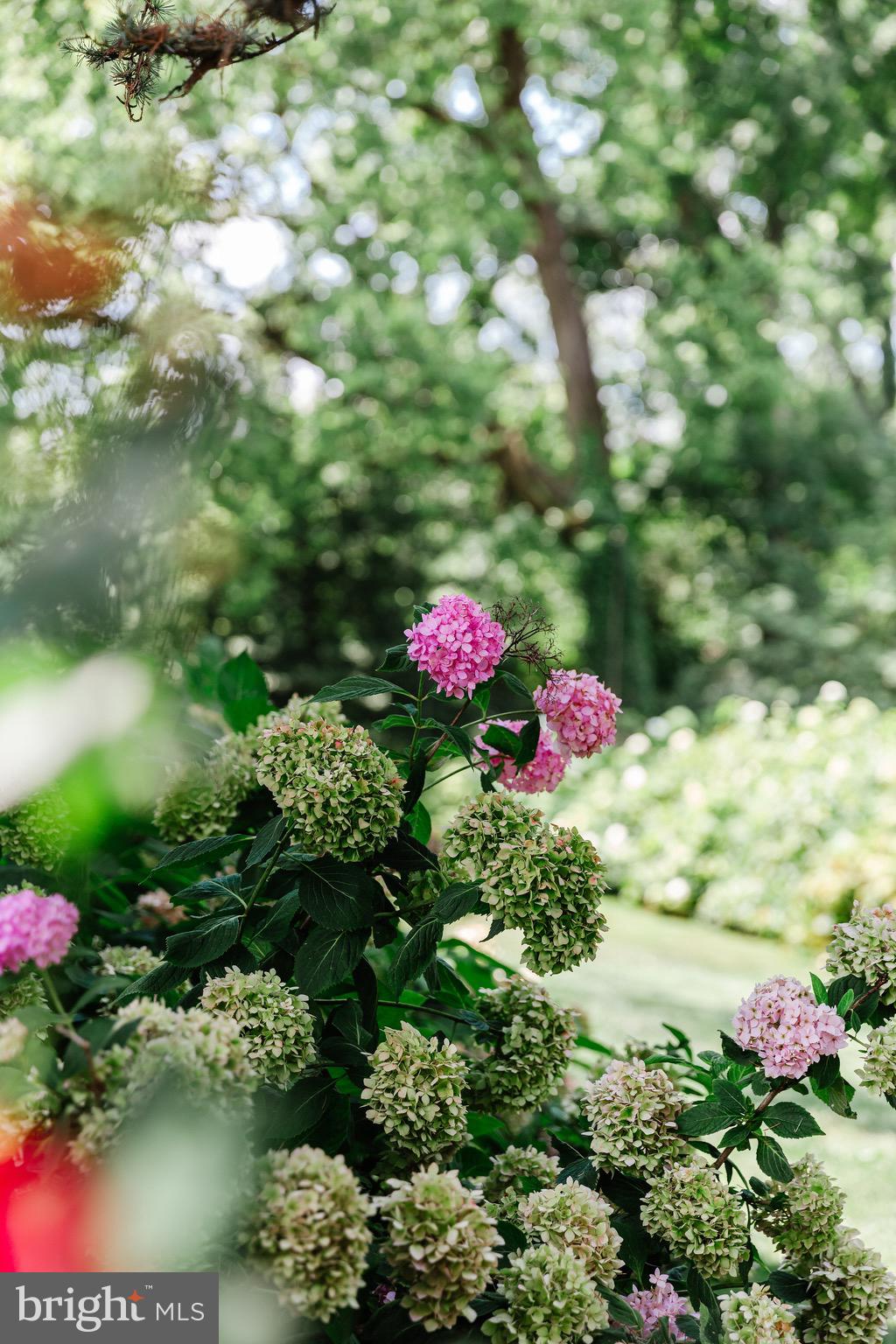 124 Lampeter Road Lancaster, PA 17602 - Photo 90 of 91 Special photos of the property