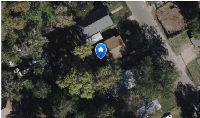 a close up of a tree in a backyard