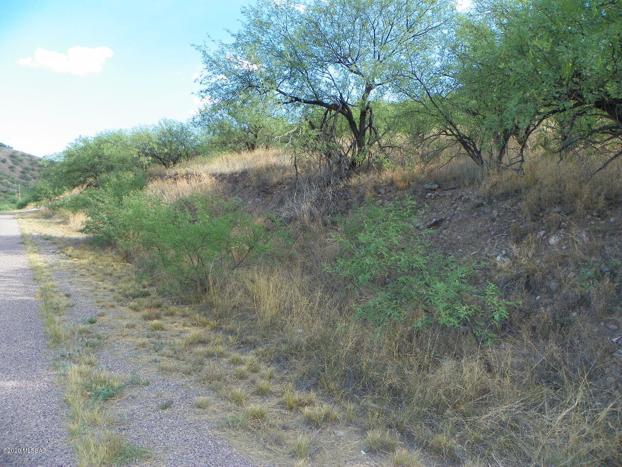 1304 Calle Cherokee, Unit 53 Rio Rico, AZ 85648 - Photo 5 of 6