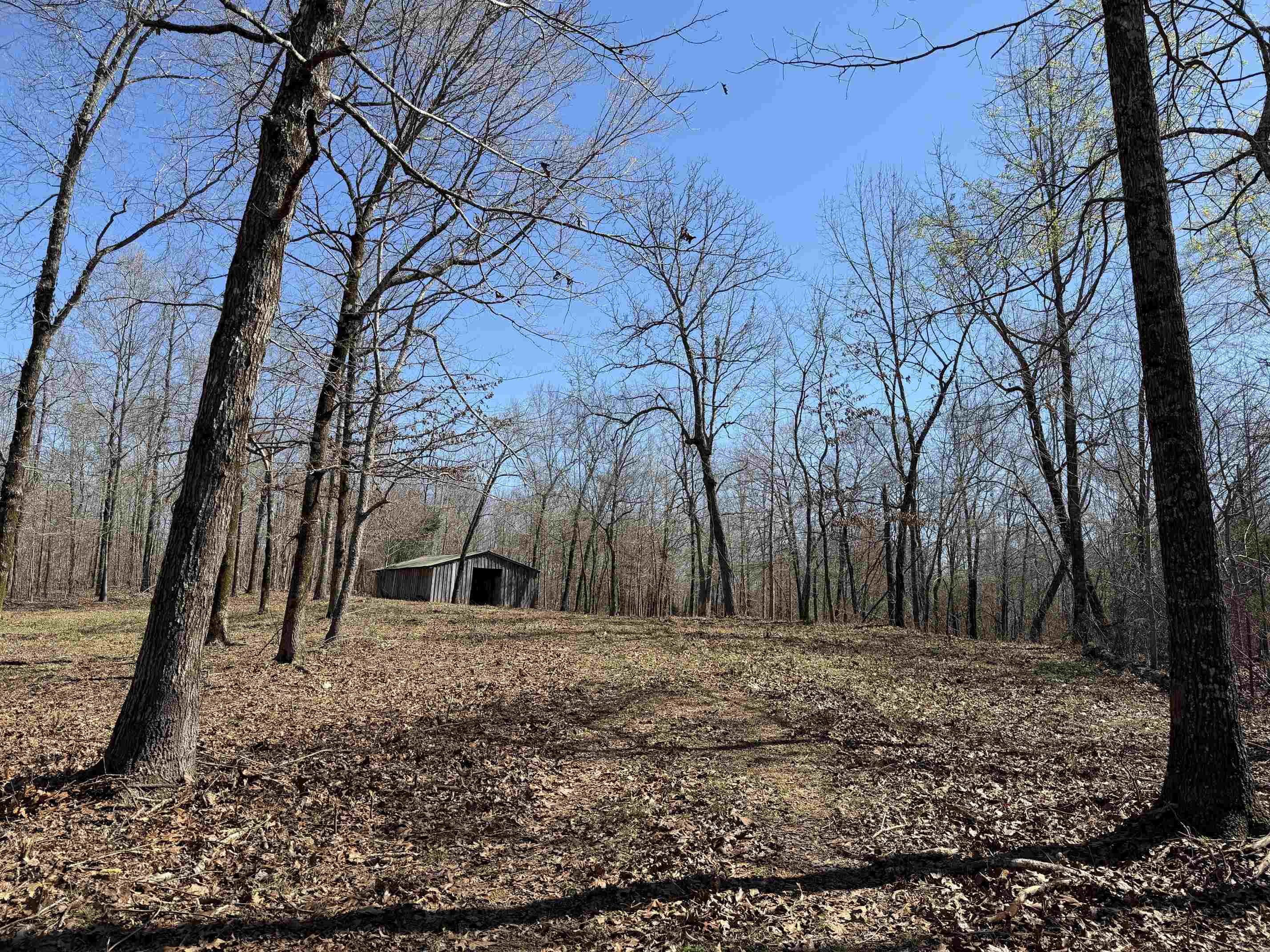a front view of a house with large trees