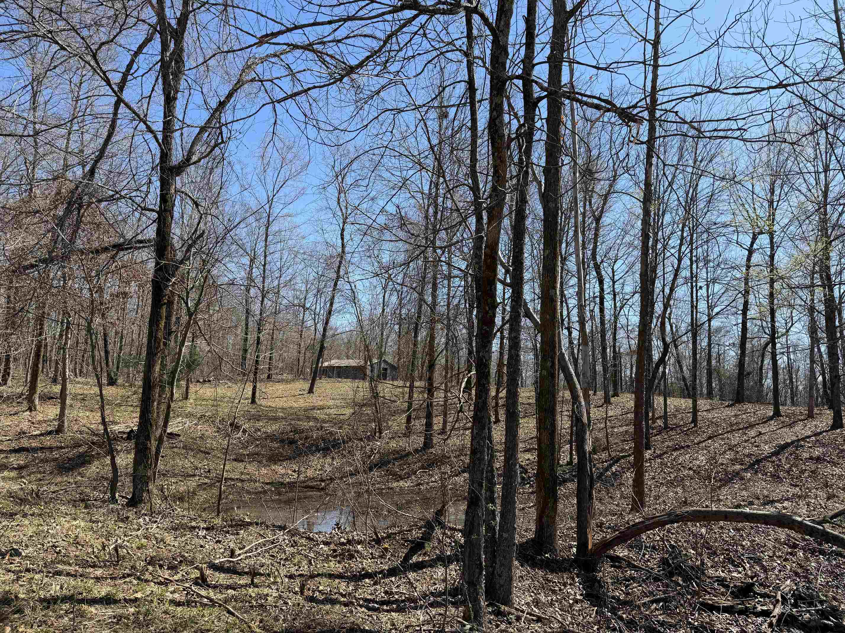 1 Delaney Loop Adamsville, TN 38310 - Photo 13 of 33