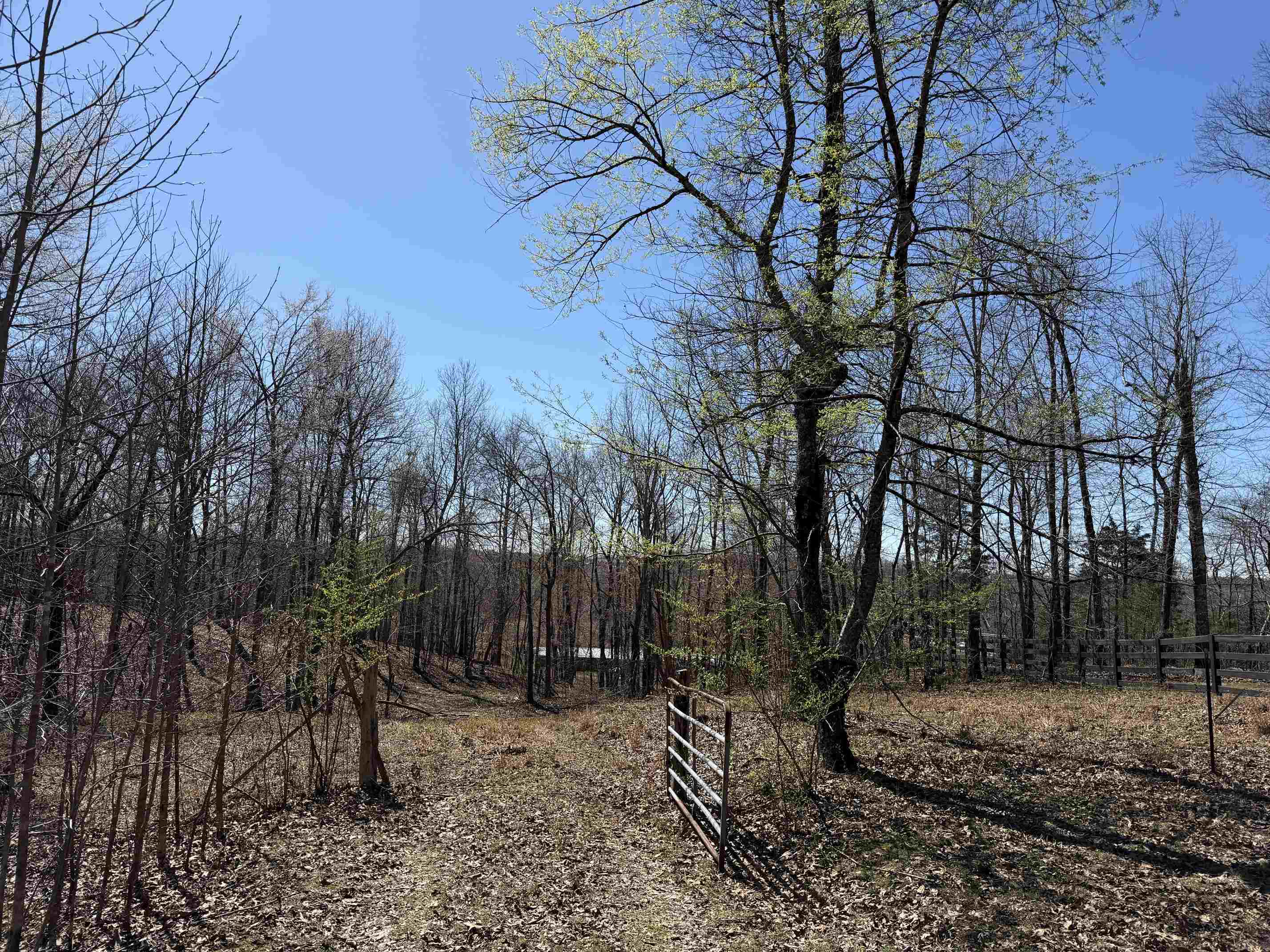 1 Delaney Loop Adamsville, TN 38310 - Photo 15 of 33 a view of a backyard with large trees