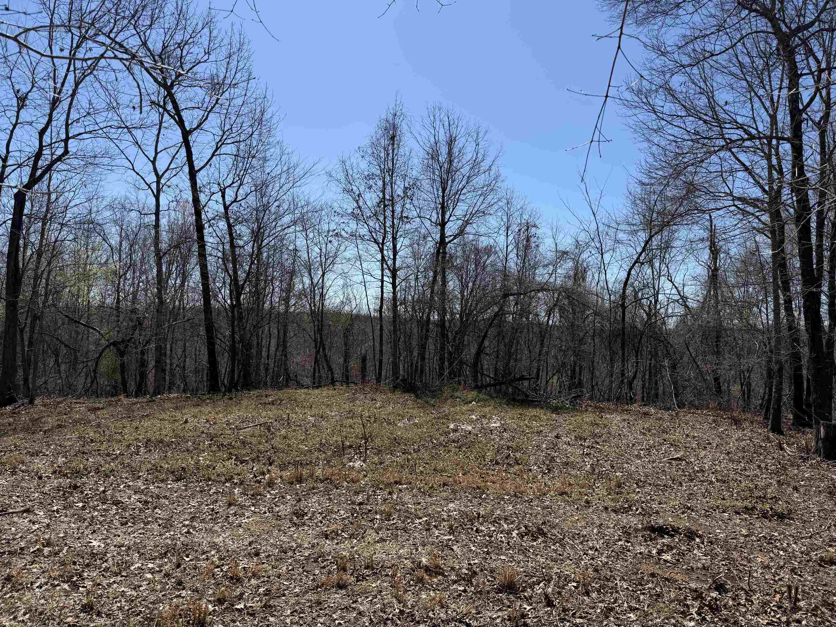 1 Delaney Loop Adamsville, TN 38310 - Photo 18 of 33 Gallery Image 18