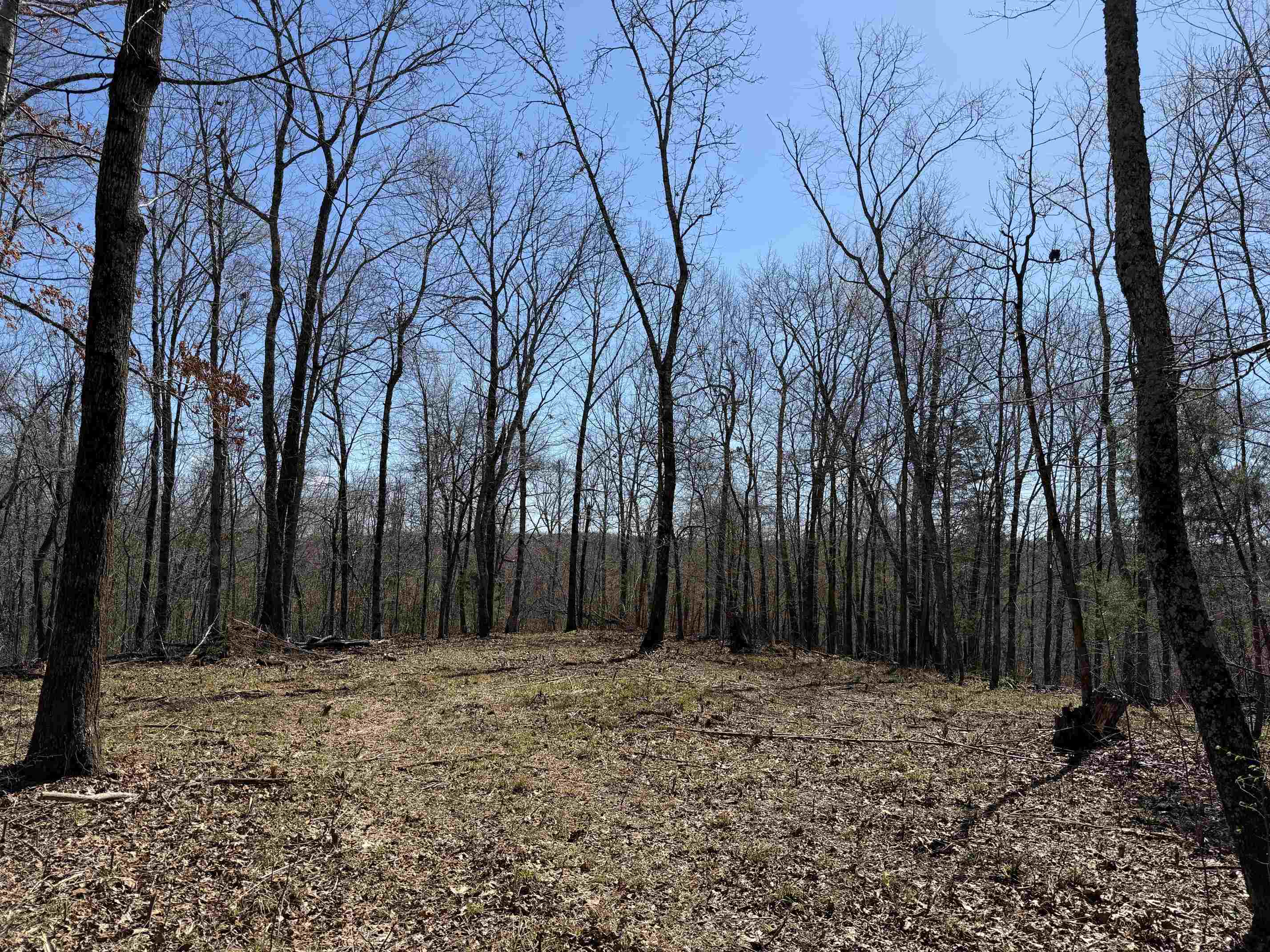 1 Delaney Loop Adamsville, TN 38310 - Photo 19 of 33