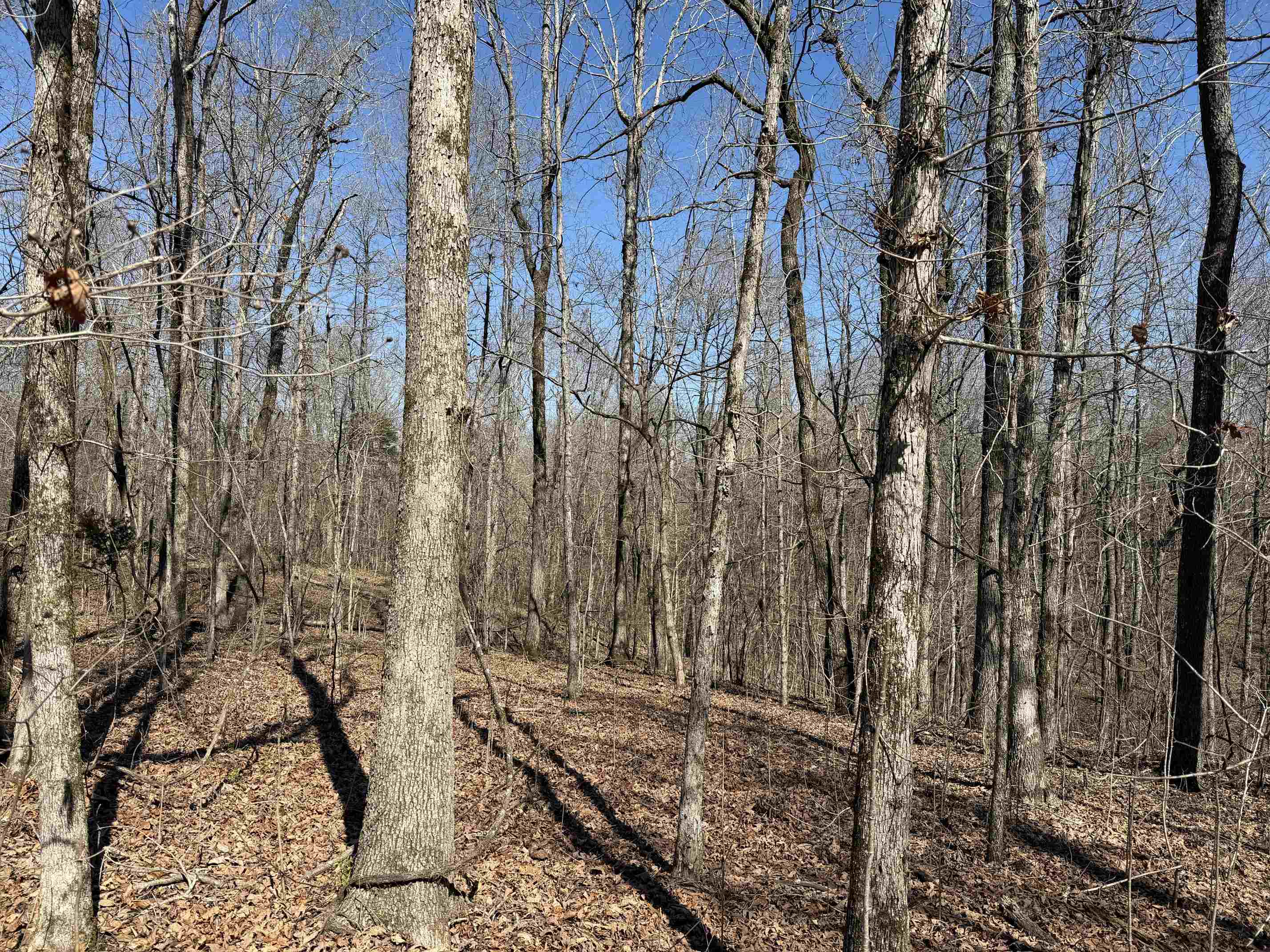 1 Delaney Loop Adamsville, TN 38310 - Photo 20 of 33