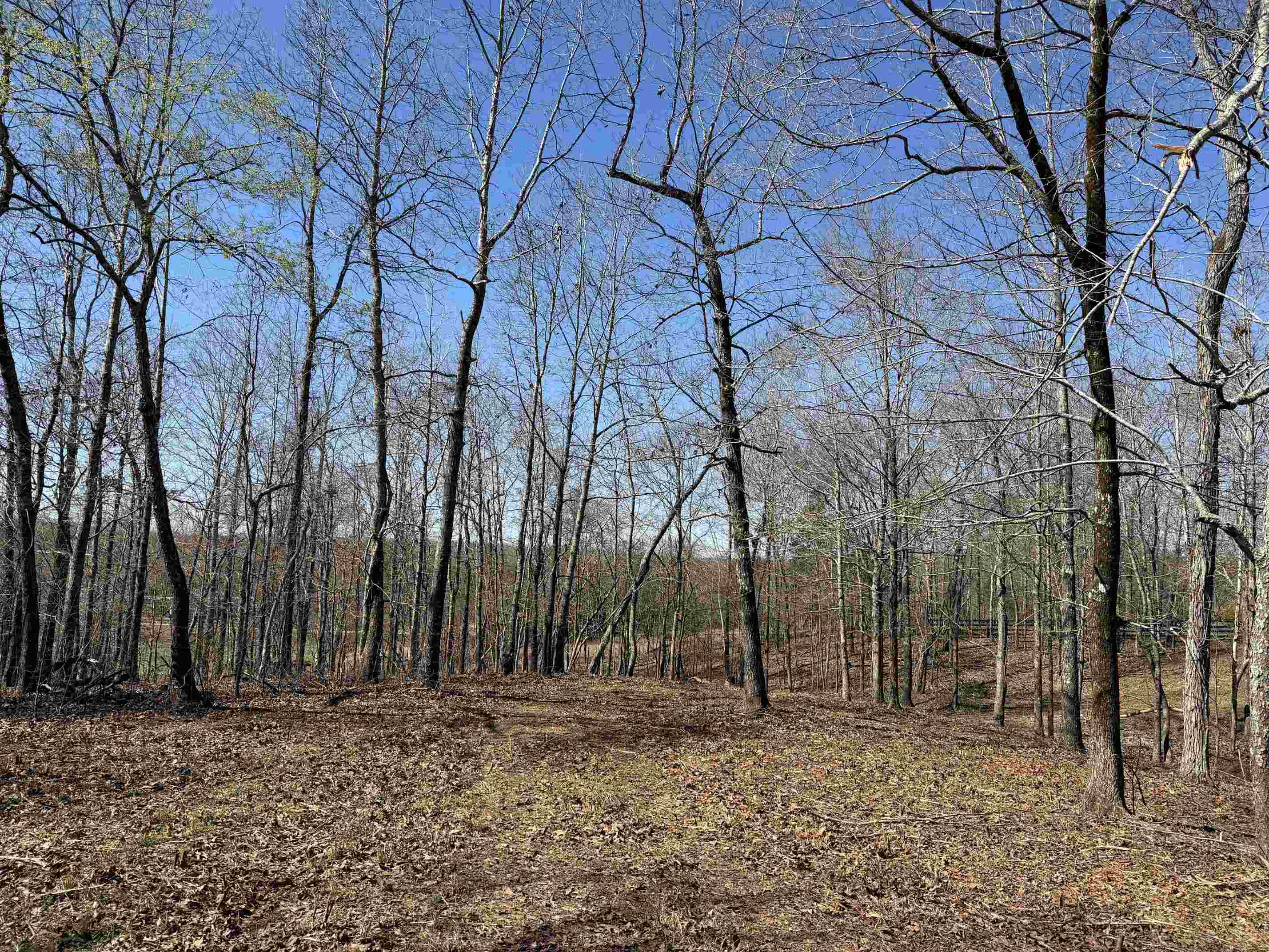 1 Delaney Loop Adamsville, TN 38310 - Photo 2 of 33 a backyard of a house with lots of green space