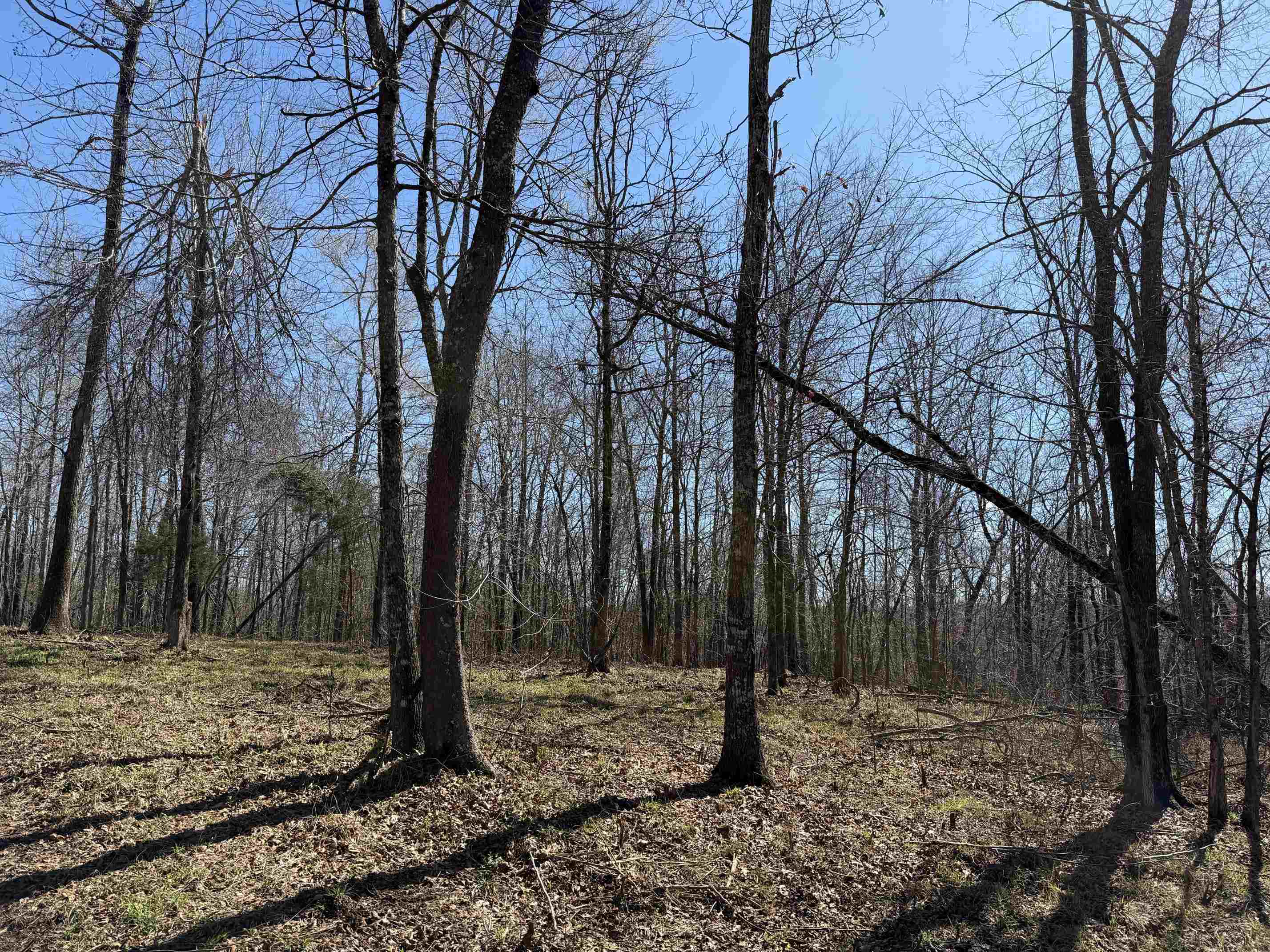 1 Delaney Loop Adamsville, TN 38310 - Photo 21 of 33 Gallery Image 21
