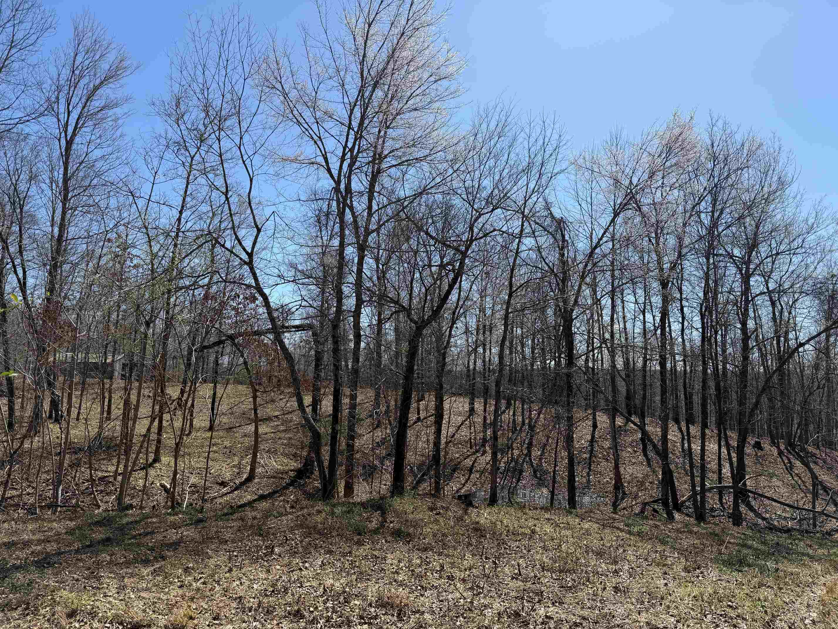 1 Delaney Loop Adamsville, TN 38310 - Photo 24 of 33