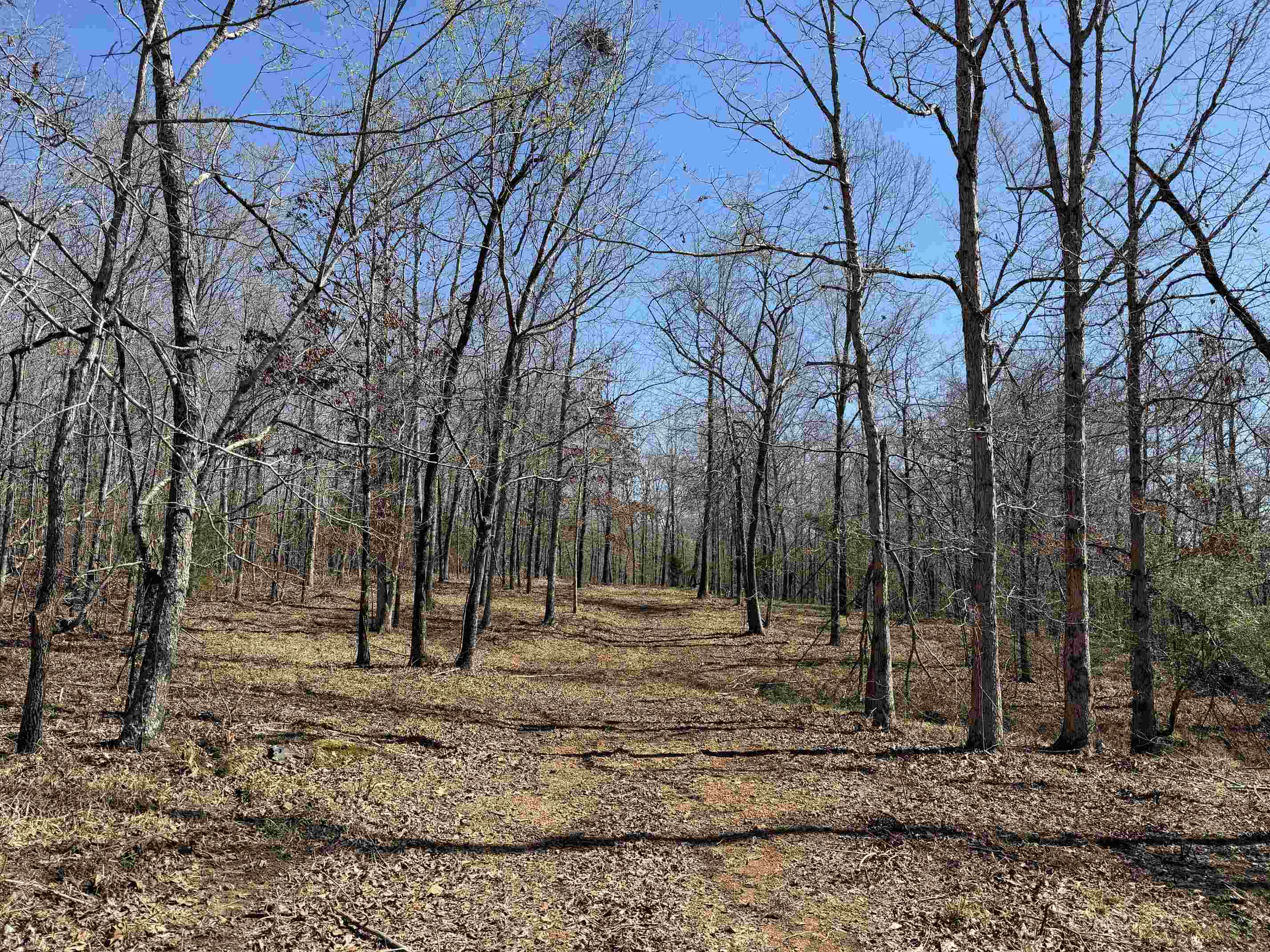 1 Delaney Loop Adamsville, TN 38310 - Photo 29 of 33