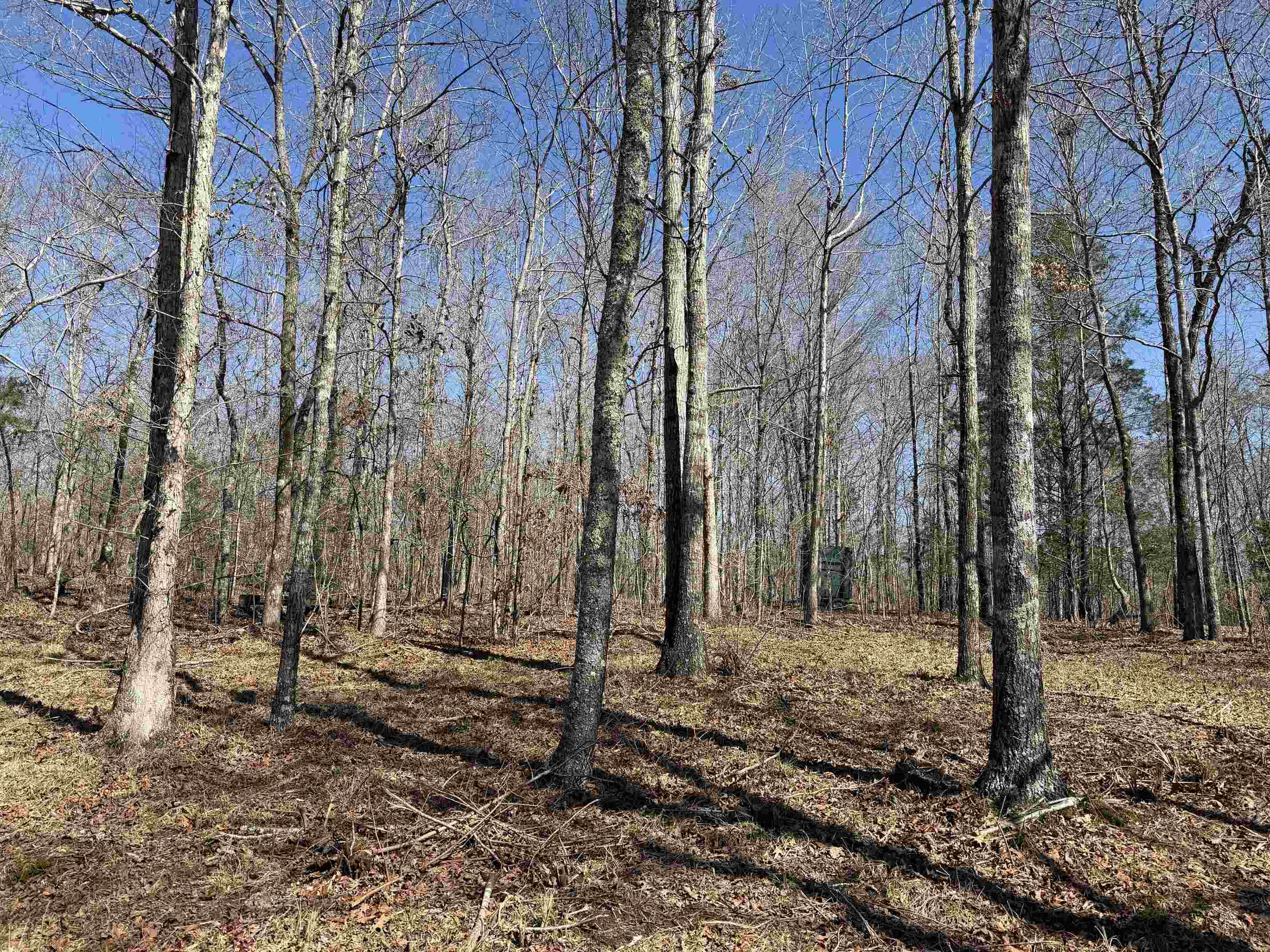 1 Delaney Loop Adamsville, TN 38310 - Photo 32 of 33 a backyard of a house with lots of green space